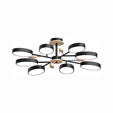 Потолочный cветильник LED4U L3221-850 BK