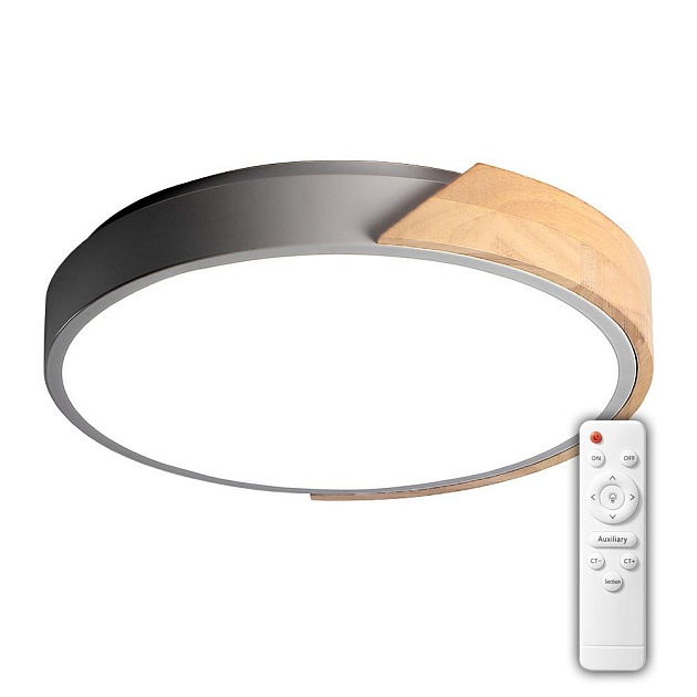 Потолочный светодиодный светильник Jazzway PPB Sсandic-R 5037151 Фото № 1