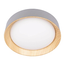 Потолочный светодиодный светильник Loft IT Coin 10202 Grey 1