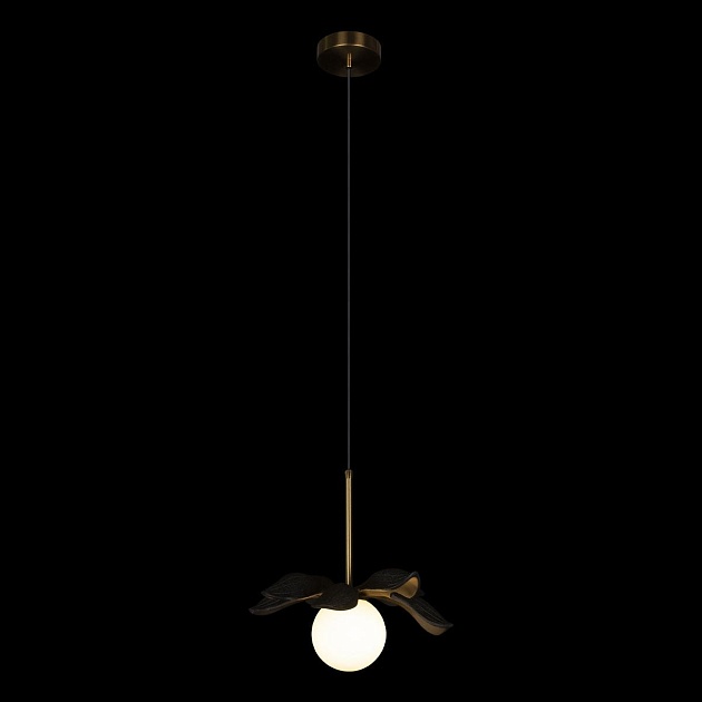 Подвесной светильник Loft IT Monro 10213/A Black Фото № 2