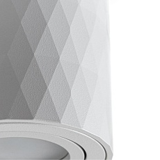 Потолочный светильник Arte Lamp Fang A5559PL-1WH 1