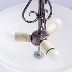 Потолочный светильник MW-Light Аида 323012603 1