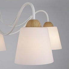 Потолочная люстра Eurosvet 70062/5 белый 2