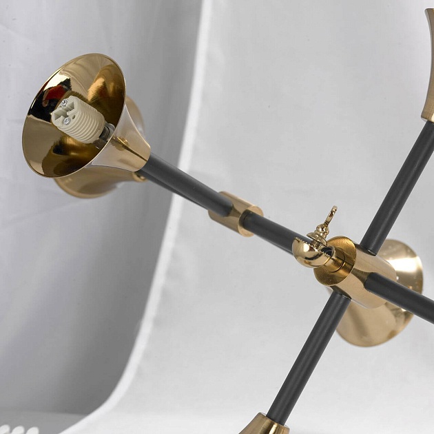 Подвесная люстра Lussole Loft LSP-8204 Фото № 5