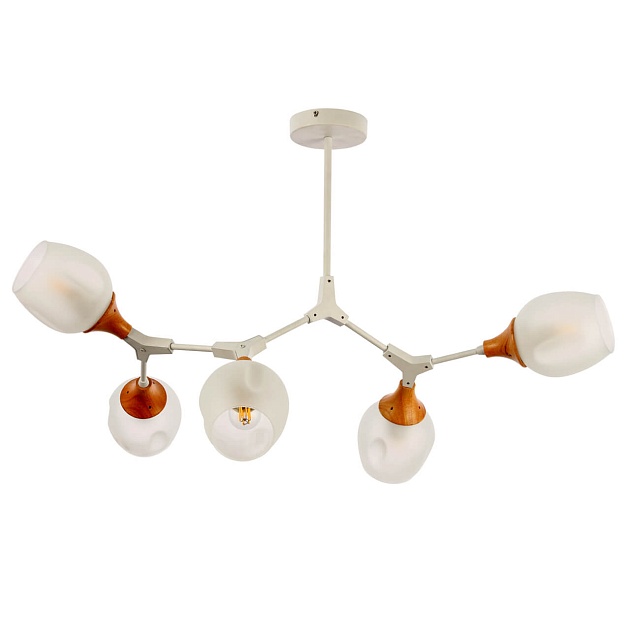 Потолочная люстра Evoluce Ciotolla SLE113502-05 Фото № 1