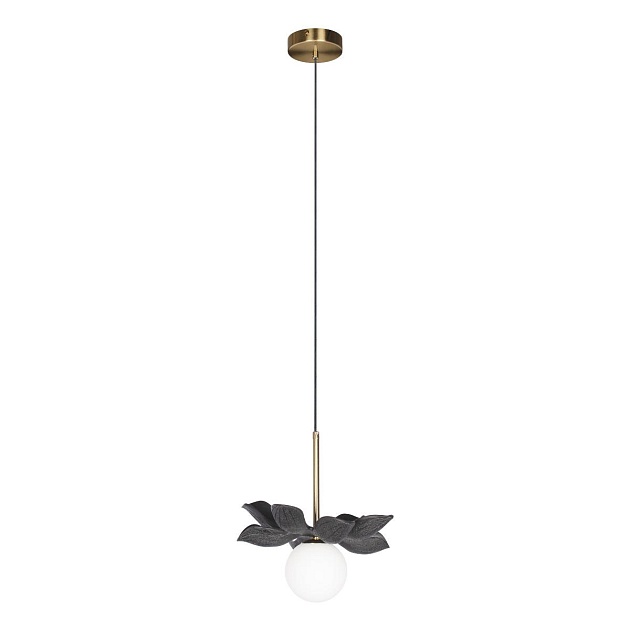 Подвесной светильник Loft IT Monro 10213/B Black Фото № 1