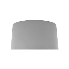 Потолочный светодиодный светильник Loft IT Duo 10360M Grey 3