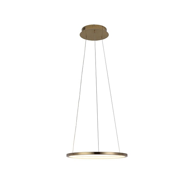 Подвесной светодиодный светильник Loft IT Ring 10014S Фото № 3