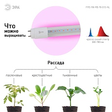 Лампа светодиодная для растений ЭРА G13 9W 1200K прозрачная Fito-9W-RB-Т8-G13-NL Б0042986 4