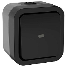 TORS Переключатель одноклавишный с индикацией 10А IP55 TS102 графит IEK TS-V10-1-10-55-K53