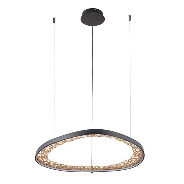 Подвесной светодиодный светильник Arte Lamp Cinta A1847SP-46BK Фото № 1