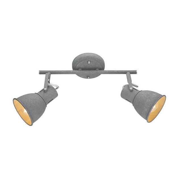 Спот Arte Lamp A1677PL-2GY Фото № 1