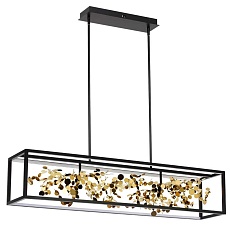 Подвесная люстра Odeon Light BILD 5065/65L