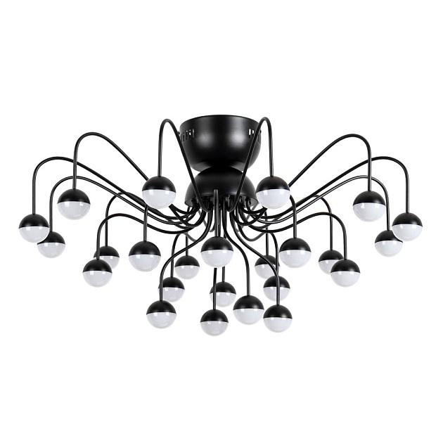 Потолочная светодиодная люстра Arte Lamp Dexter A3619PL-24BK Фото № 1