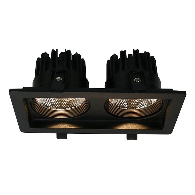 Встраиваемый светодиодный светильник Arte Lamp Privato A7007PL-2BK Фото № 3
