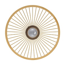 Потолочный светильник Eglo Leominster 43883 1