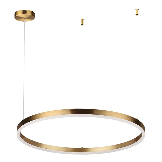 Подвесной светодиодный светильник Lumion Ledio Echo 6531/50L Фото № 1