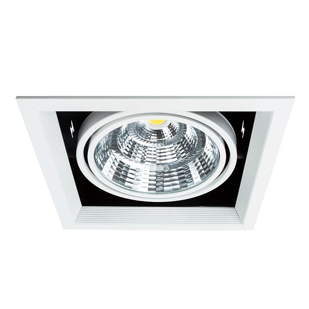 Встраиваемый светодиодный светильник Arte Lamp Merga A8450PL-1WH Фото № 1