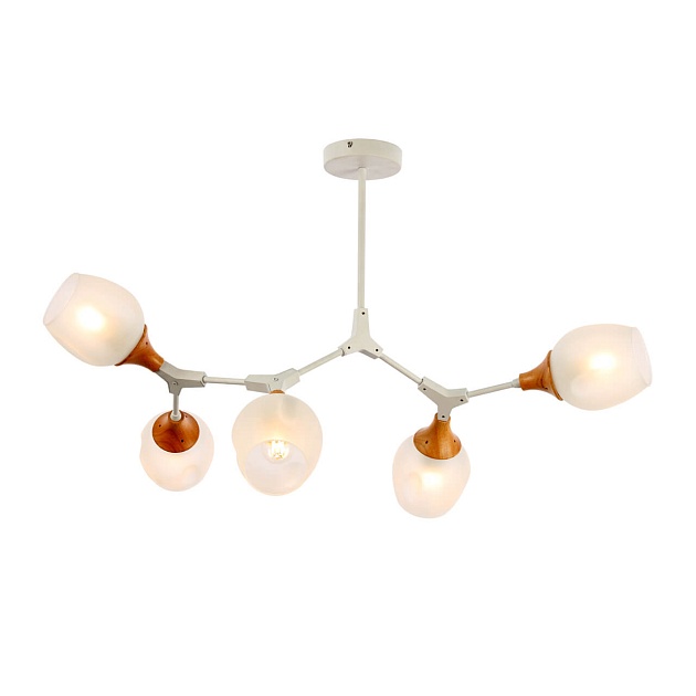 Потолочная люстра Evoluce Ciotolla SLE113502-05 Фото № 3