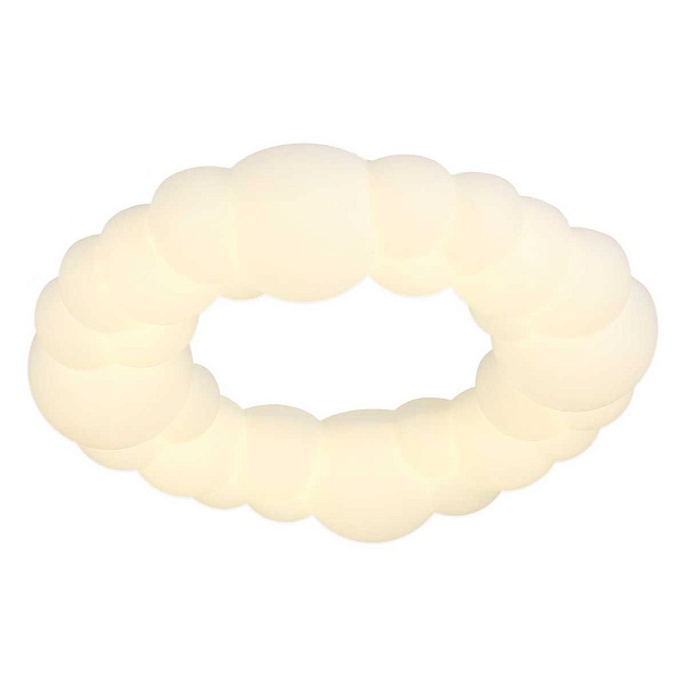 Потолочный светодиодный светильник Lussole Loft Claudia LSP-7077 Фото № 1