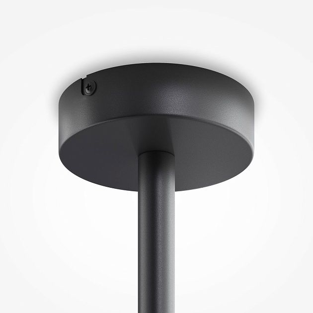 Подвесная люстра Maytoni Memory MOD177PL-12G Фото № 2