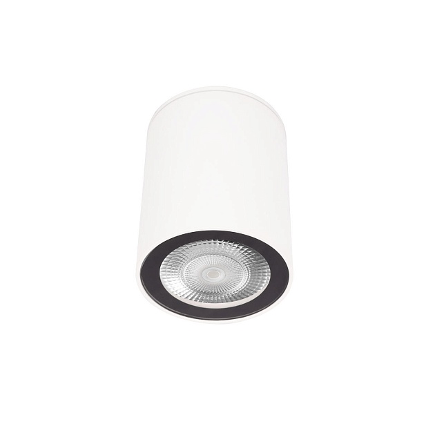 Накладной светильник Loft IT Rush 10344 White Фото № 1