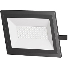 Прожектор светодиодный Maytoni Flood 50W 6500K FL001-L50B6K