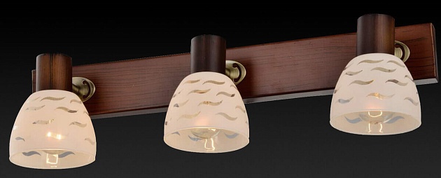 Спот Toplight Shayla TL3730Y-03BB изображение 2 Спот Toplight Shayla TL3730Y-03BB Фото № 2