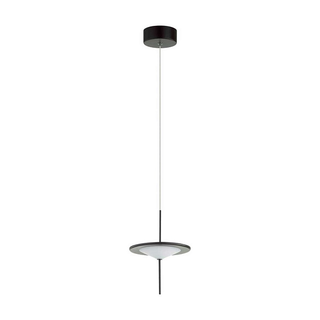 Подвесной светодиодный светильник Odeon Light Steka 5012/10L Фото № 1