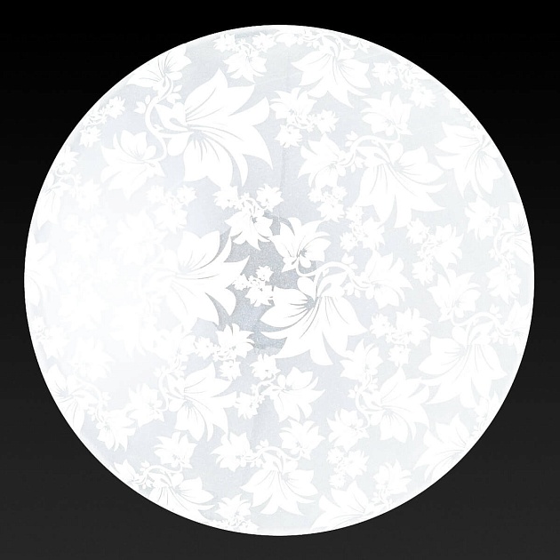 Настенный светильник Toplight Primrose TL9064Y-02WH Фото № 3