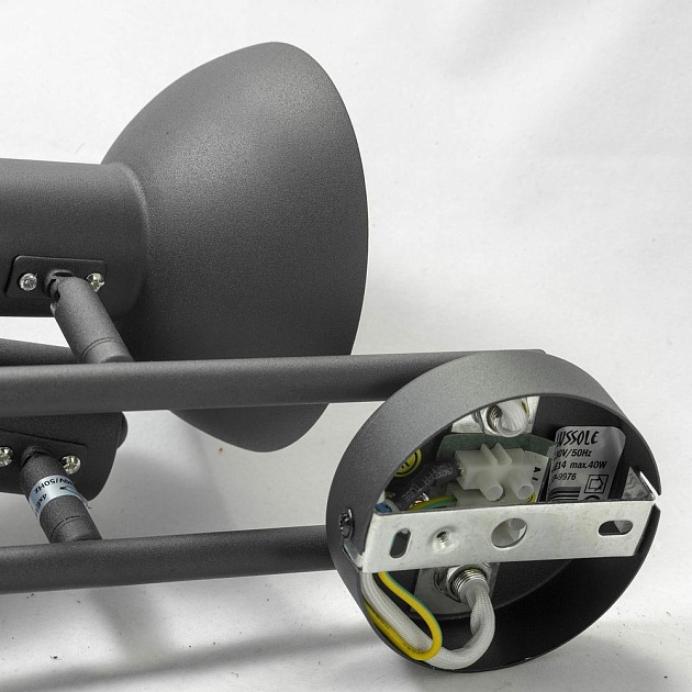 Спот Lussole Loft Louisville GRLSP-9976 Фото № 6