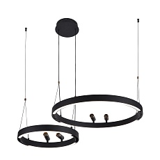 Подвесная светодиодная люстра F-Promo Slinga 4474-2P 5