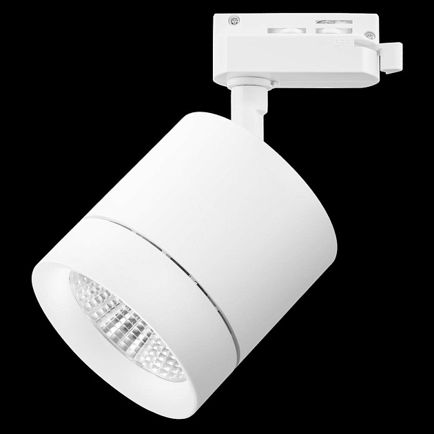 Трековый светодиодный светильник Lightstar Canno Led 301262 Фото № 4