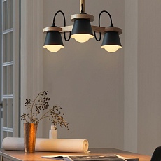 Потолочная люстра Imperium Loft Natura 178087-26 3