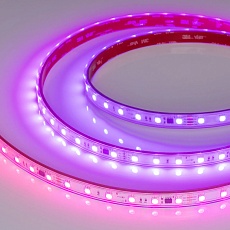 Светодиодная лента Arlight 12W/m 60LED/m 5060SMD разноцветный 5М SPI-PFS-B60-12mm 24V 039602 2