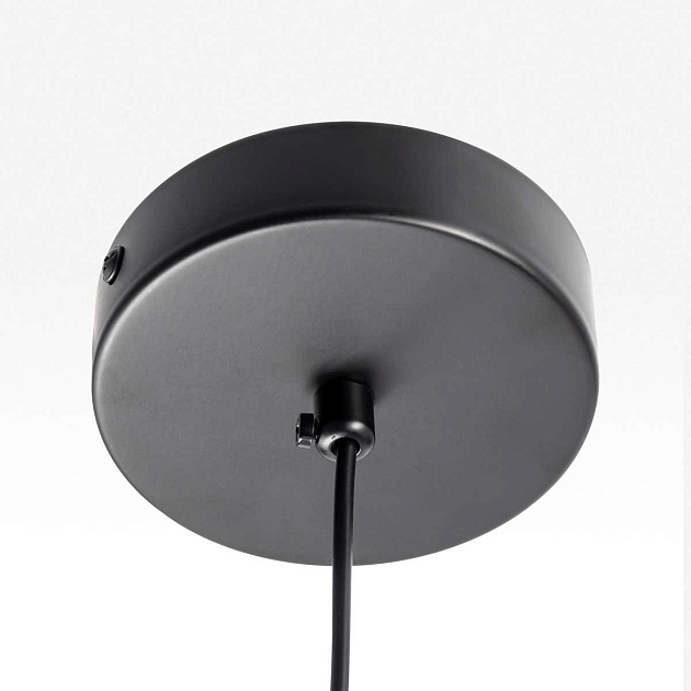 Подвесной светильник Citilux ORTON CL202042 Фото № 6