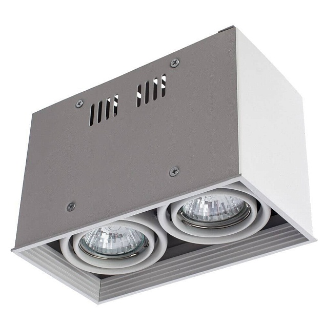 Потолочный светильник Arte Lamp Cardani A5942PL-2WH Фото № 4