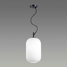 Подвесной светильник Odeon Light Pendant Roofi 4751/1 2