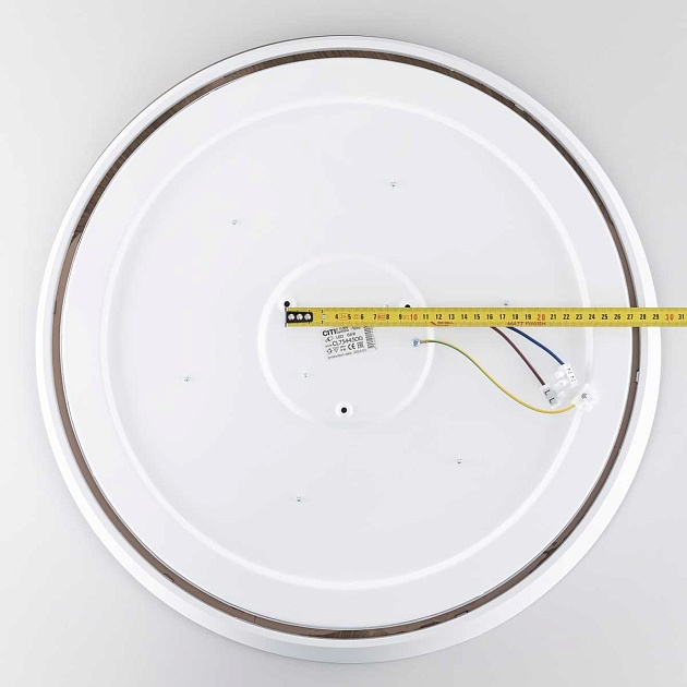 Потолочный светодиодный светильник Citilux Bonny CL754450G изображение 2 Потолочный светодиодный светильник Citilux Bonny CL754450G Фото № 2