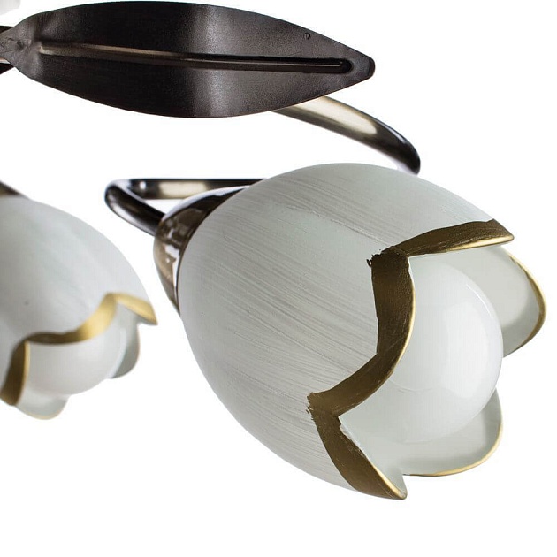 Потолочная люстра Arte Lamp 4 A6061PL-6AB Фото № 2