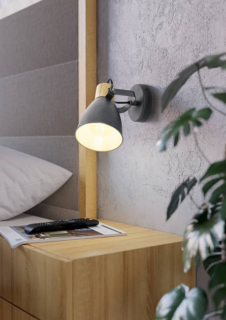 Спот Eglo Coswarth 901174 Фото № 2