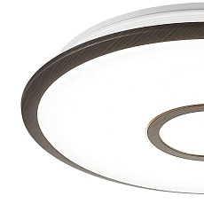 Потолочный светодиодный светильник Citilux Старлайт Смарт CL703A45G 2