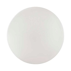 Настенно-потолочный светодиодный светильник Sonex Pale Vale 3040/DL 1