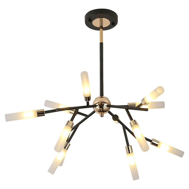Подвесная люстра Lussole Loft Astoria LSP-8332 Фото № 1