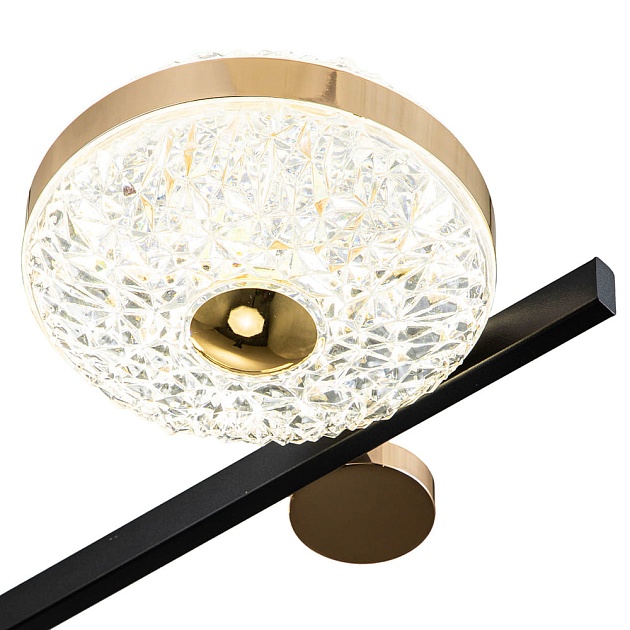 Потолочная светодиодная люстра Escada Divita 10219/6LED Фото № 3