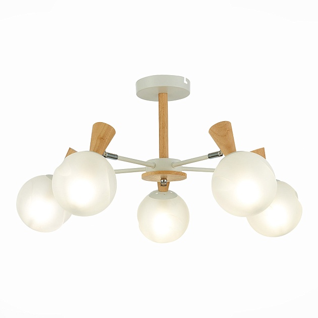 Потолочная люстра Evoluce Catania SLE220702-05 Фото № 1