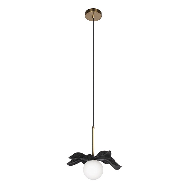 Подвесной светильник Loft IT Monro 10213/A Black Фото № 1