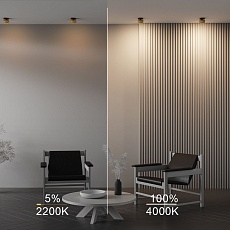 Встраиваемый светодиодный спот Maytoni Technical Onda DL024-12W-DTW-BMG 1