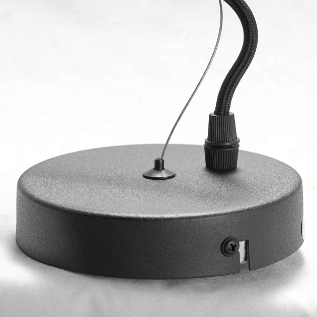 Подвесная люстра Lussole Lgo HURON LSP-8156-S Фото № 2