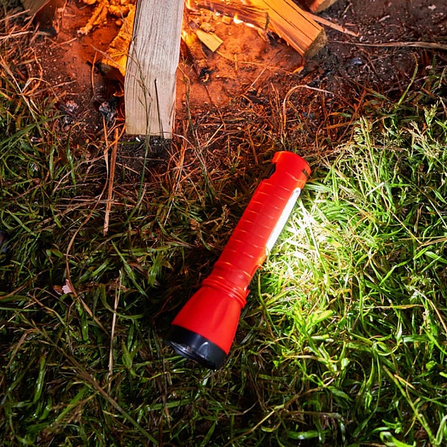 Ландшафтный светильник REXANT 602-2417 Фото № 4